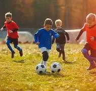 王晶回应带,货争议,收高额直播,盛世娱乐官网,盛世娱乐官网在线娱乐平台