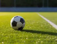 纽卡主场逆,巴恩斯双响,建功,盛世娱乐官网,盛世娱乐官网在线娱乐平台