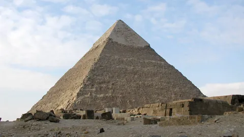 2025篮球盛宴：辽篮问鼎CBA，雄鹿称霸NBA